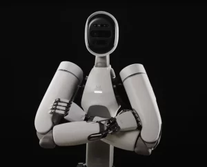 Humanoid robots in everyday life